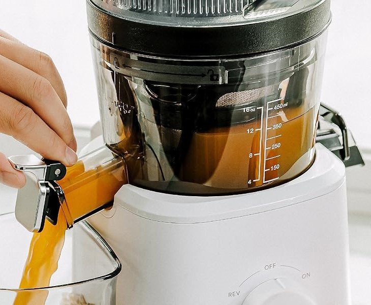 Cold Press Juicer Reviews (2025 Buying Guide)